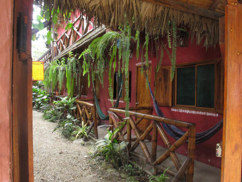 Hostal Mamacucha Montañita エクステリア 写真